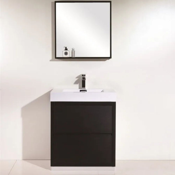 Britannia 30" Black Wood Modern Bathroom Vanity – Freestanding with Acrylic Sink & Soft-Close Hardware