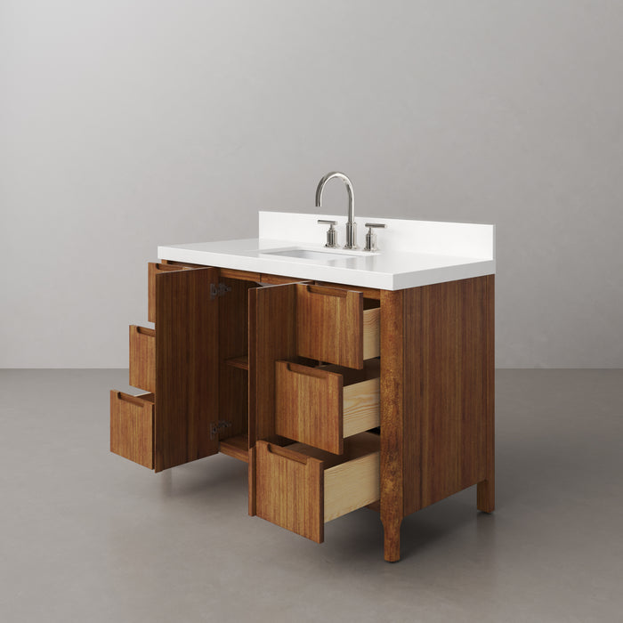 48 Inch Jaylin Single Sink Mango Wood Bathroom Vanity with Quartz Top and Chrome Faucet